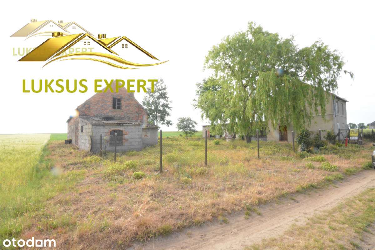 Budynek do renontu na dużej działce. - Pełny obrazek: 5/8