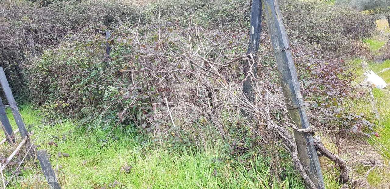 Terreno Rústico - Grande imagem: 2/3