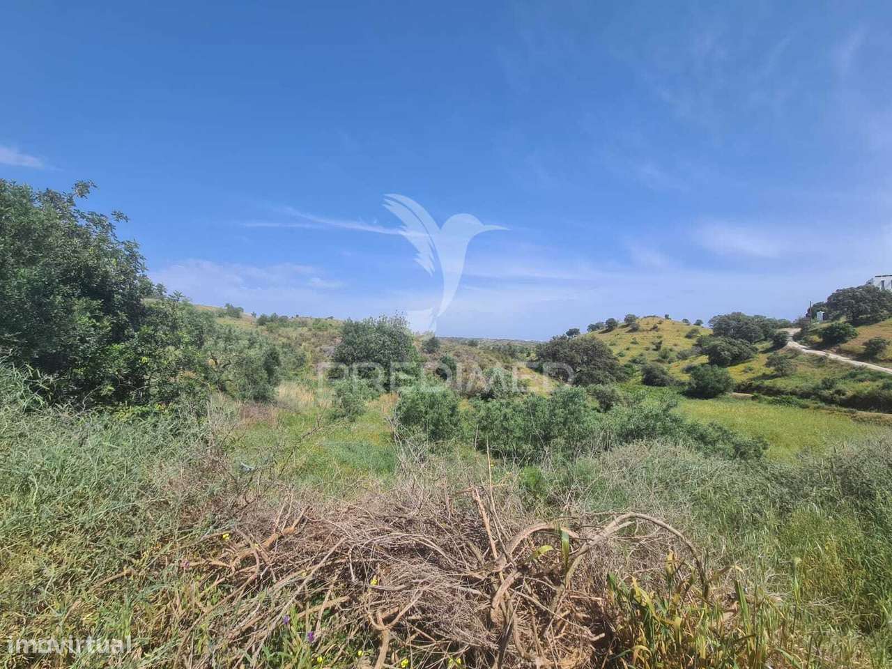 Ruina T2 com Terreno - Grande imagem: 5/5