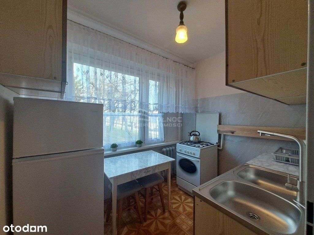 Duże mieszkanie na parterze do wynajęcia - Pełny obrazek: 4/6