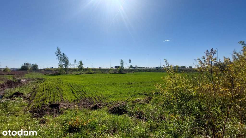 ✅Sprawdź >>> Działka inwestycyjna - Najem -1,1Ha ✅ - Pełny obrazek: 1/9