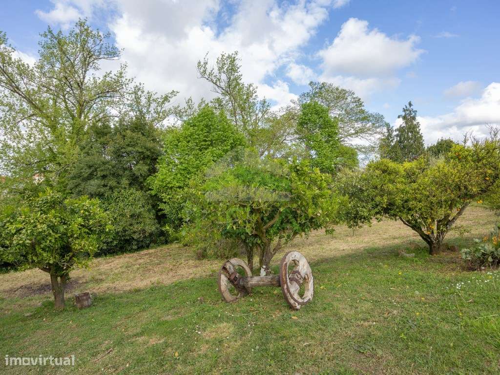 Moradia com terreno e piscina a 3km da Batalha-19