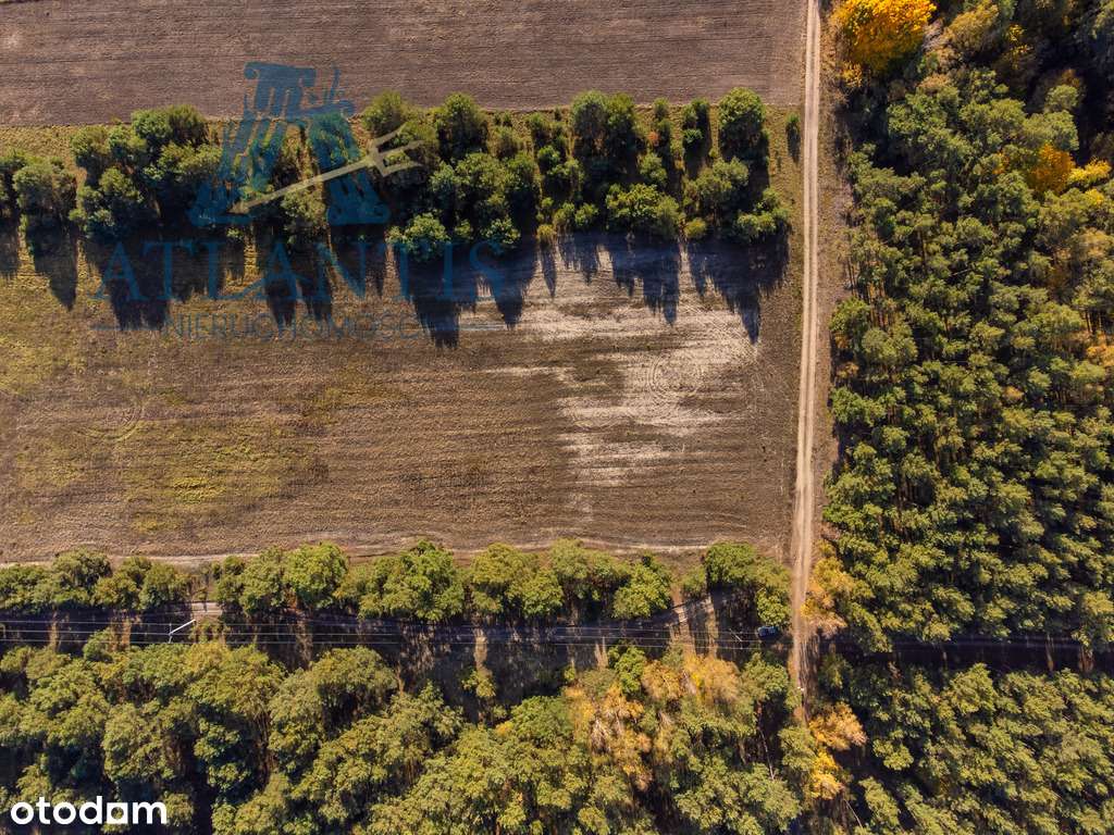 Działki z warunkami zabudowy w otoczeniu natury - Pełny obrazek: 5/8