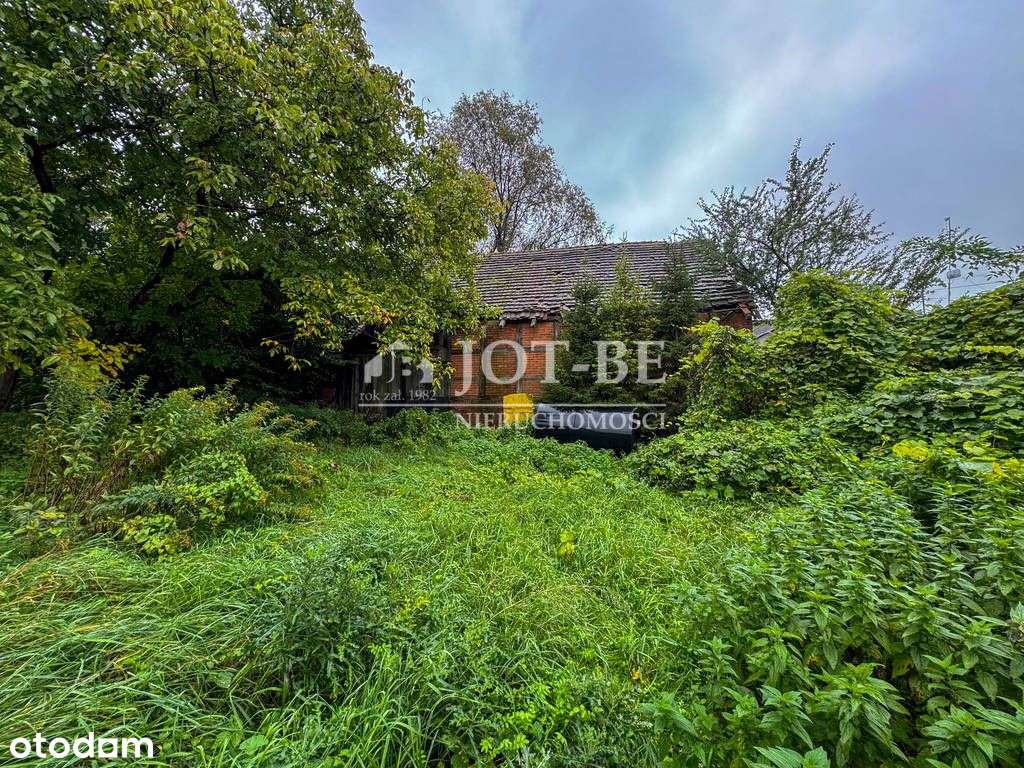 Okazja cenowa! Działka 7800 m2 pod zabudowę. - Pełny obrazek: 5/6