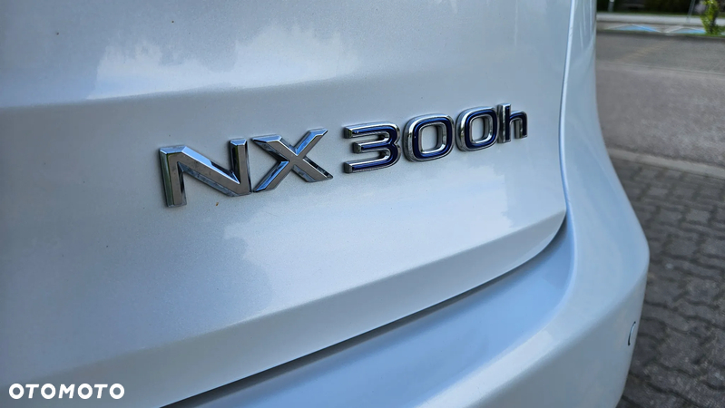 Lexus NX - 39