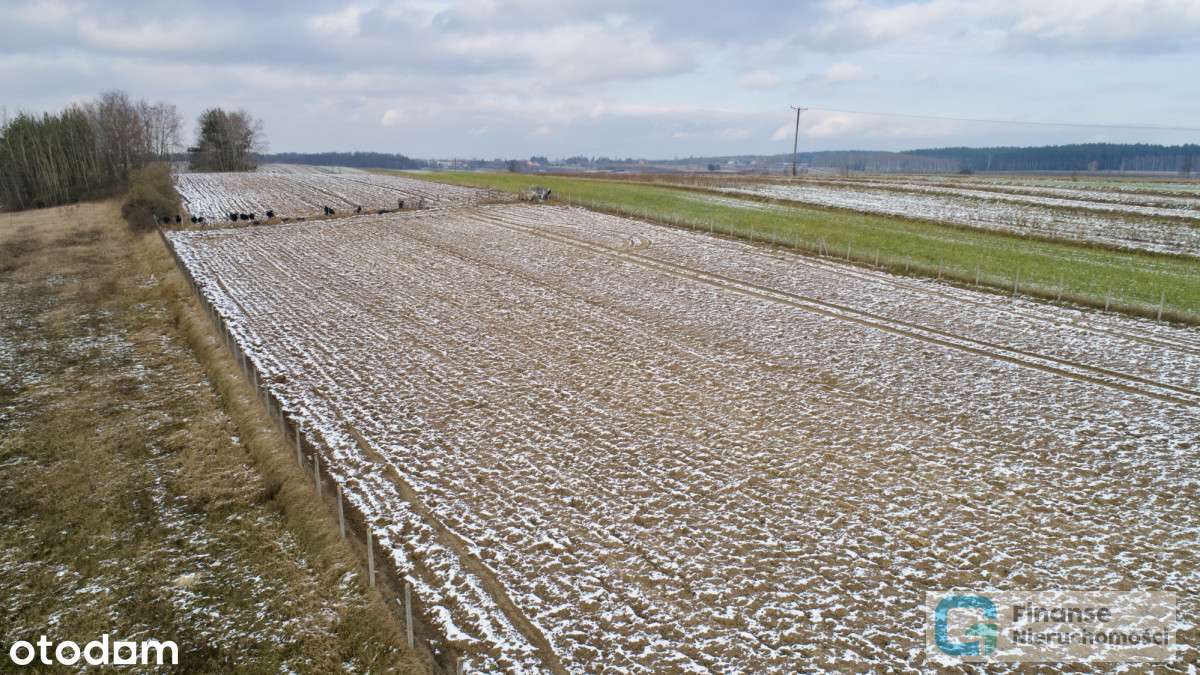 Działka budowlana w Pukininie - Pełny obrazek: 4/14