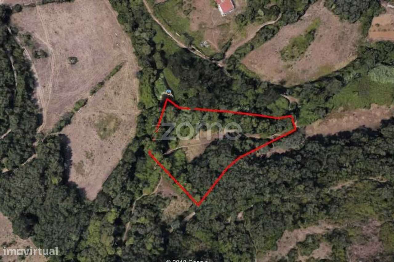 Terreno Rústico na Cabrela, Terrugem - Grande imagem: 3/11