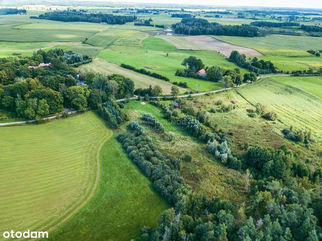 Działka rolna na Mazurach (Golubie) - Pełny obrazek: 4/11