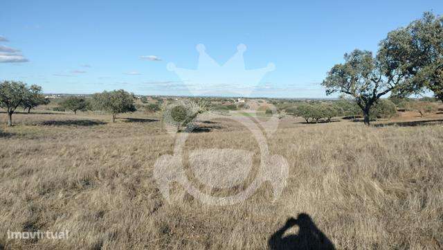 Terreno 6,2 ha - Grande imagem: 5/15