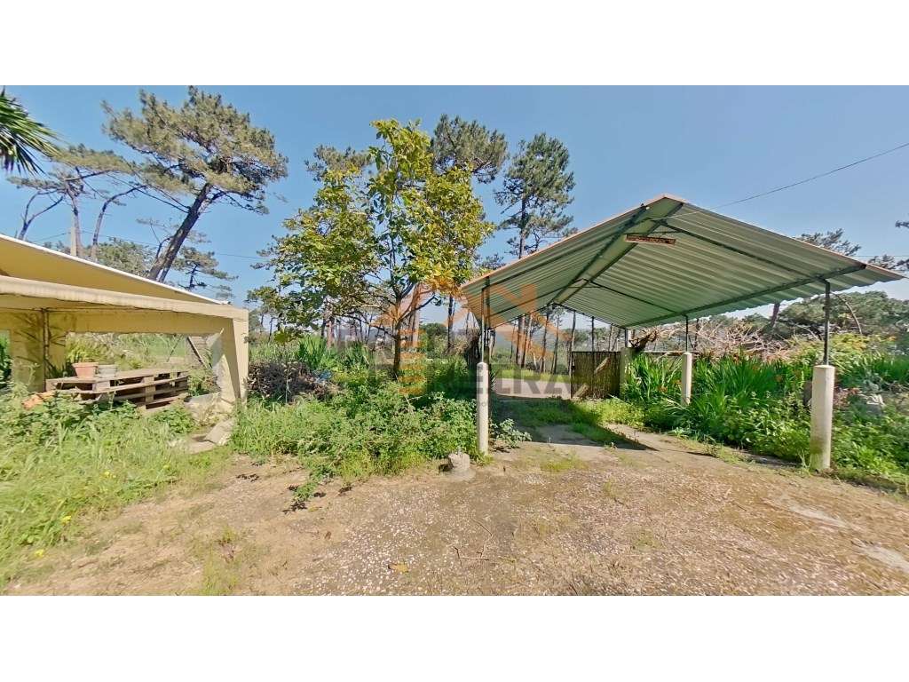 Moradia para remodelação total, situada em Colares, Sintra. - Grande imagem: 4/17