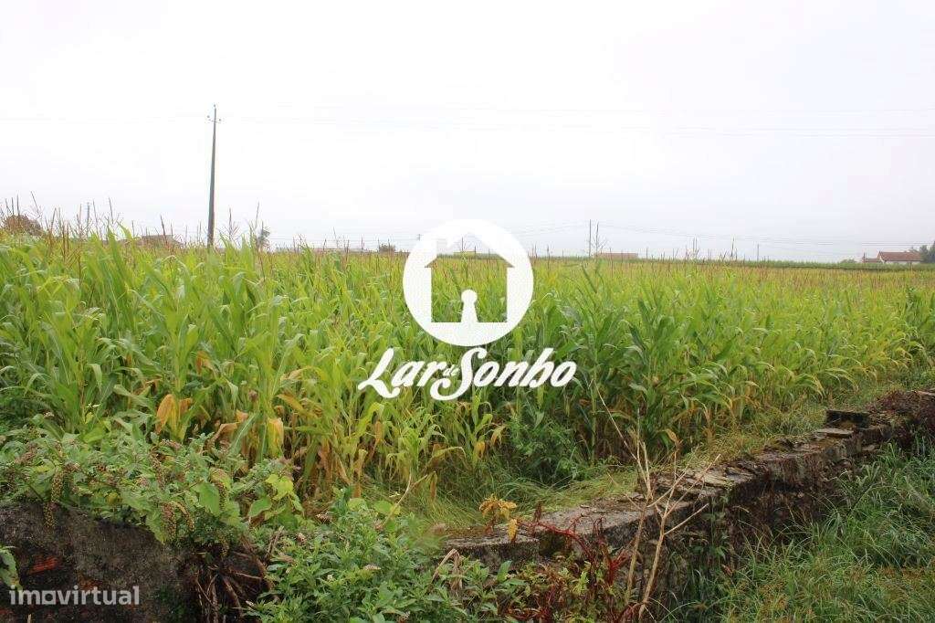 Terreno construção de Moradias ou Apartamentos