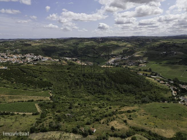 TERRENO MISTO COM 48Ha EM ALENQUER!-5