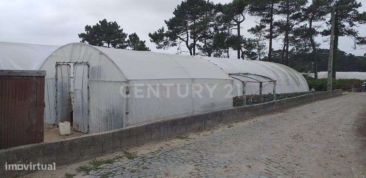 Terreno com 3285 m2 em Terroso Póvoa de Varzim. - Grande imagem: 3/4