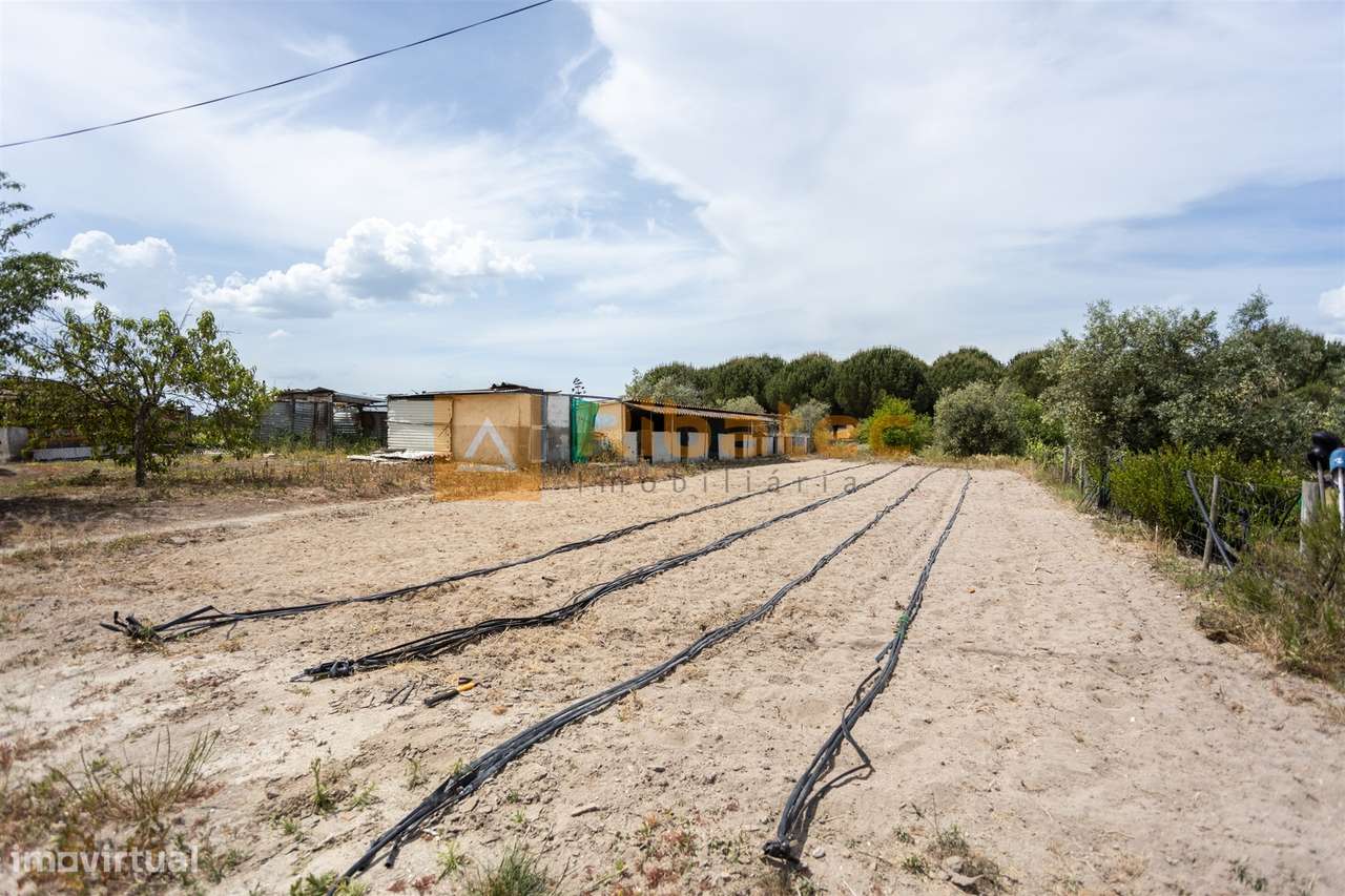 Moradia nas Fazendas das Figueiras, Branca-31