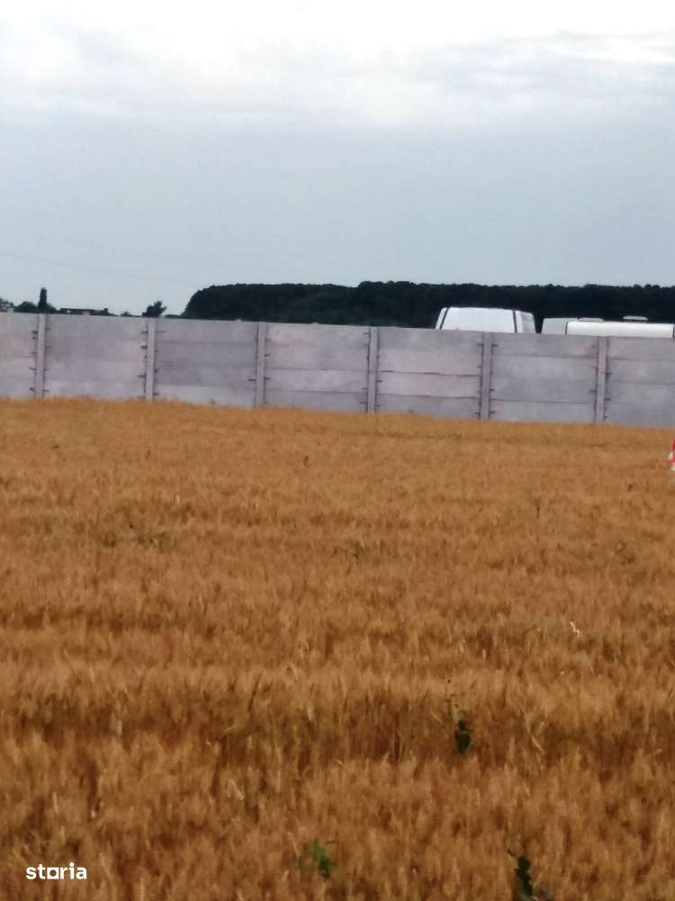 Magurele Atomistilor 5000mp - Imagine principală: 3/6