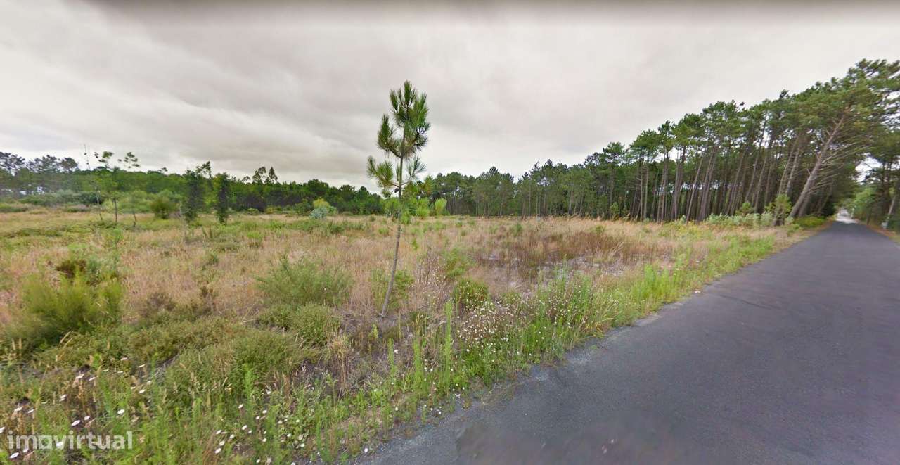 Venda de 1/5 de Terreno rústico  COM ÁREA TOTAL DE 48278M2- - Grande imagem: 3/8