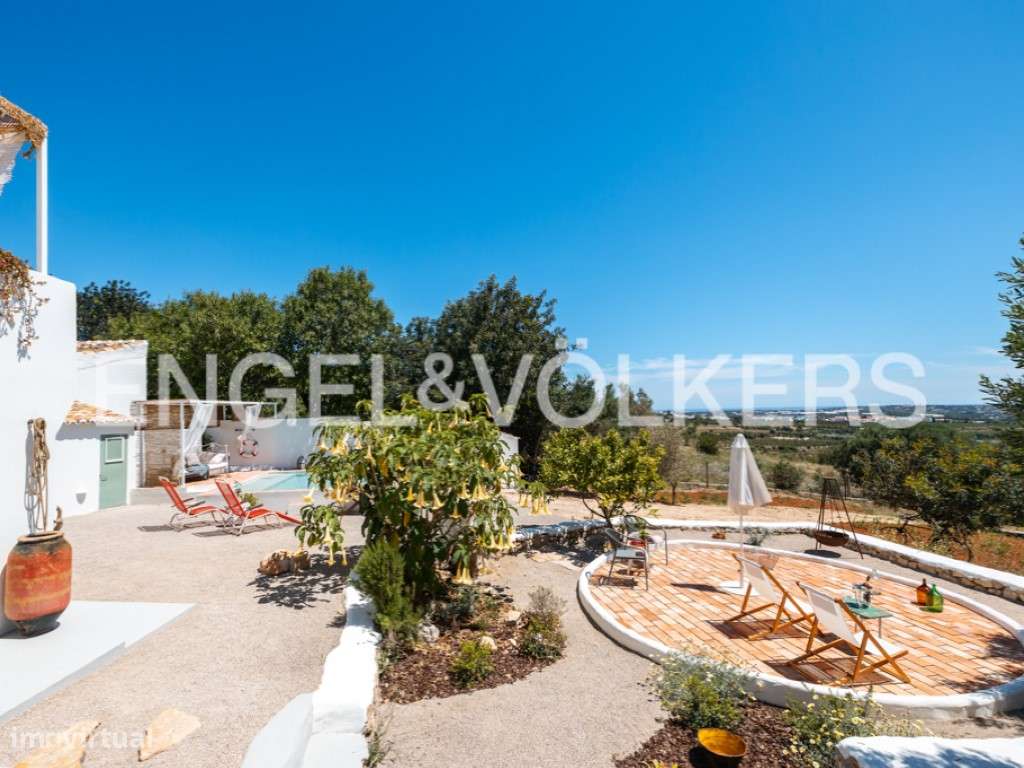 Olive Heritage-37