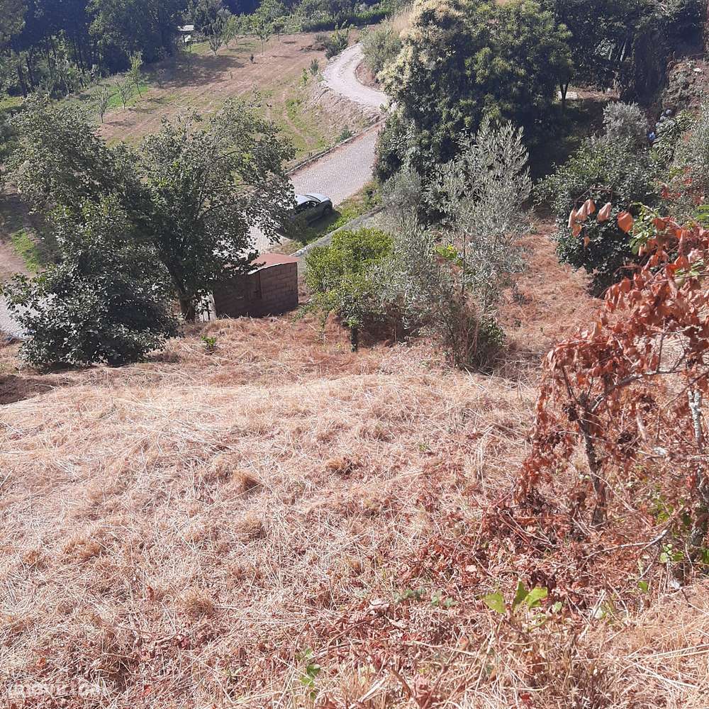 Casa em pedra para reconstruir Canelas Penafiel-28