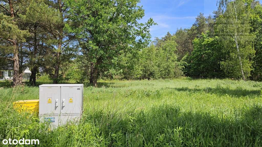 Działka blisko lasu - Pełny obrazek: 2/5