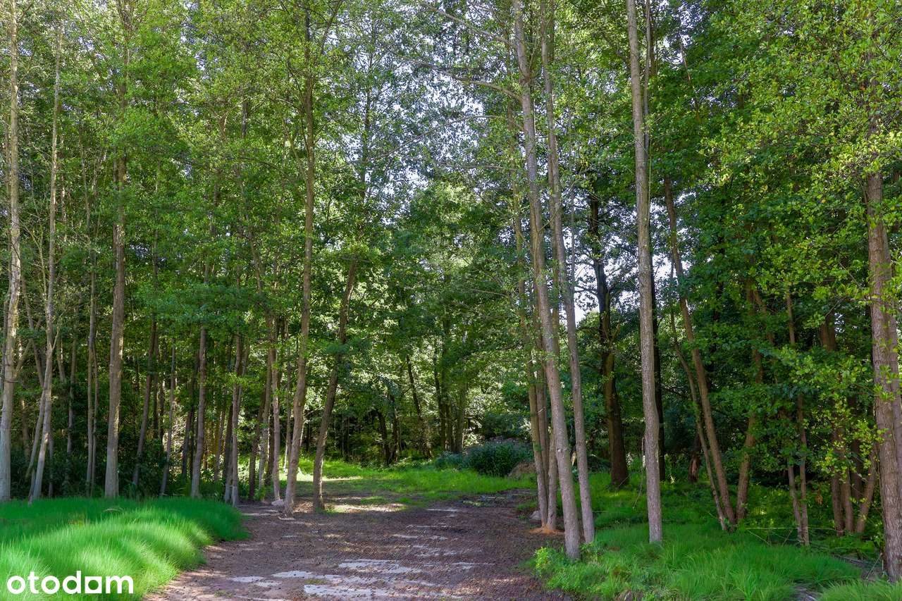 Funkcjonalne 63 m² z balkonem i widokiem na zieleń – Na Okrzeszyńcu-3