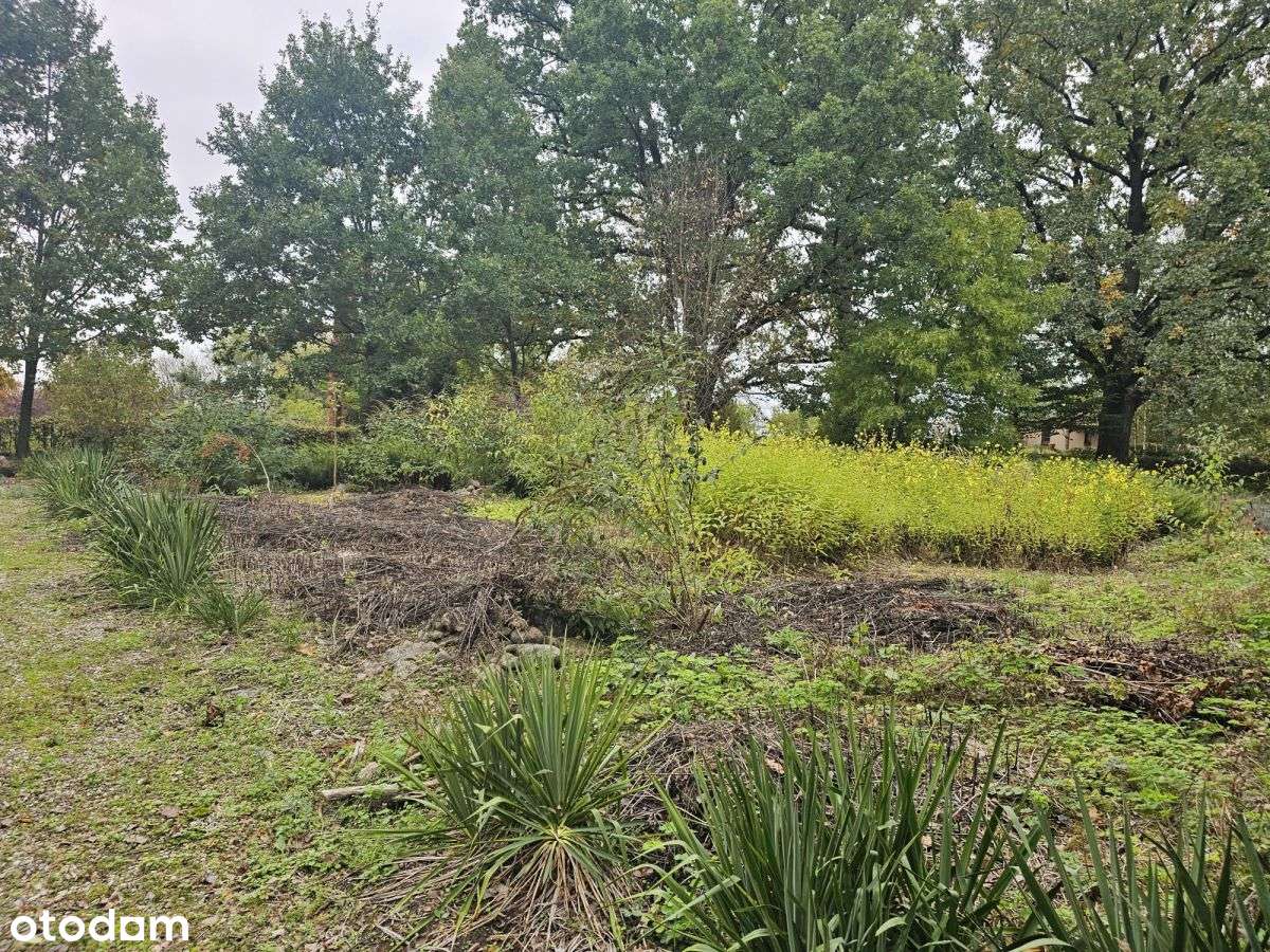 Działka wielofunkcyjna, Spa, Dom opieki, siedlisko-7