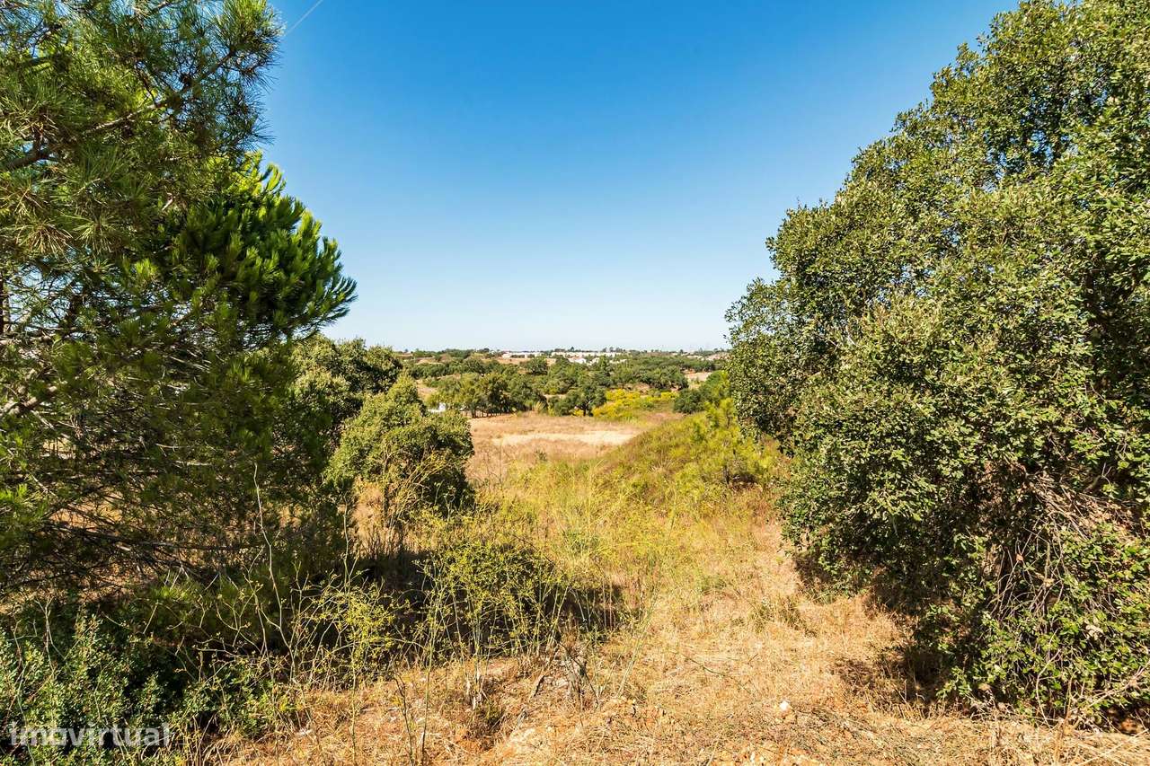 Terreno urbano em São Sebastião (Setúbal) com 17000m2-32