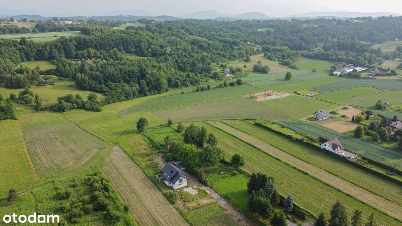 Proszę o kontakt osoby, które dały serduszko w ogłoszeniu :) - Pełny obrazek: 4/17