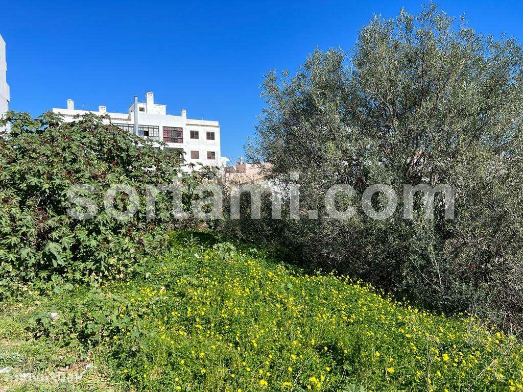 Terreno Para Construção  Venda em Almancil,Loulé - Grande imagem: 3/15