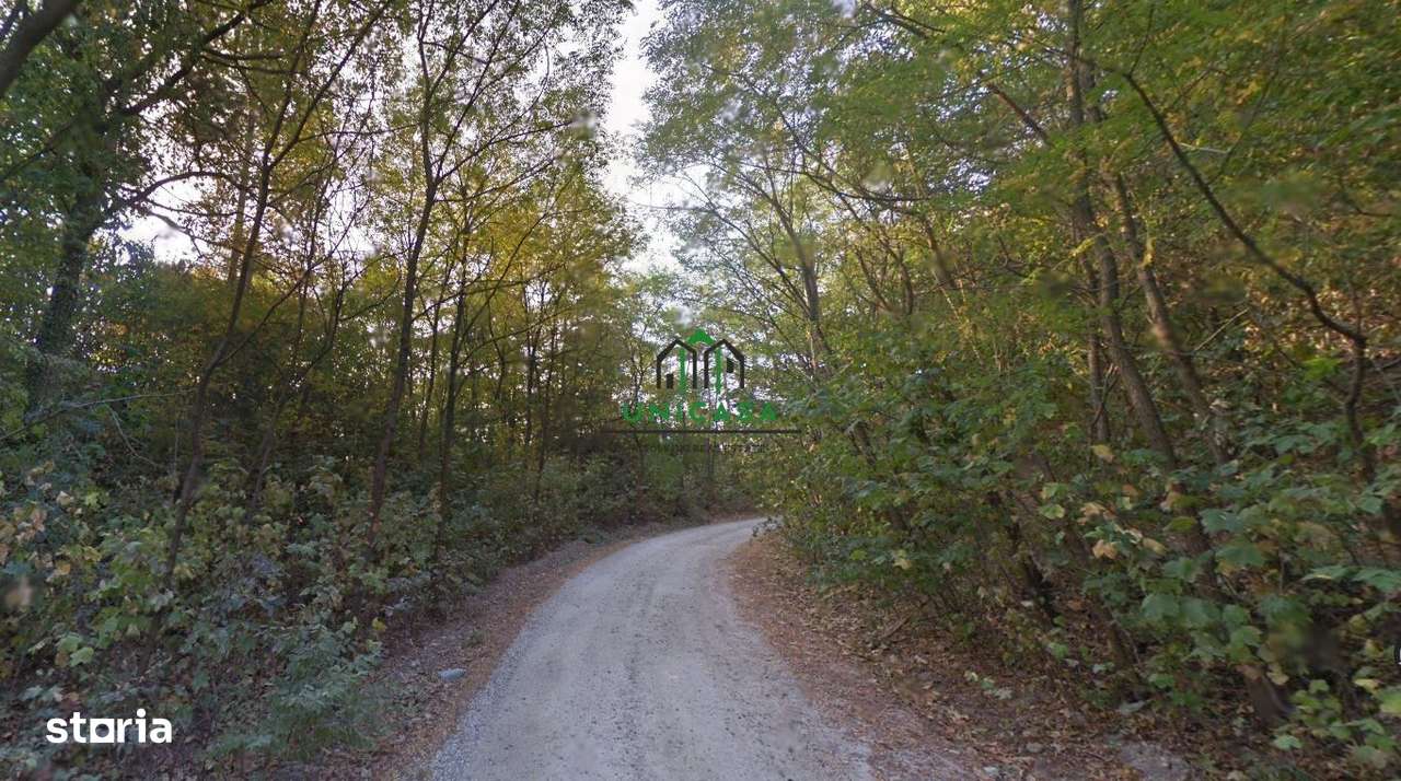 Teren Ramnicu Valcea / 28 Ha - Imagine principală: 4/4