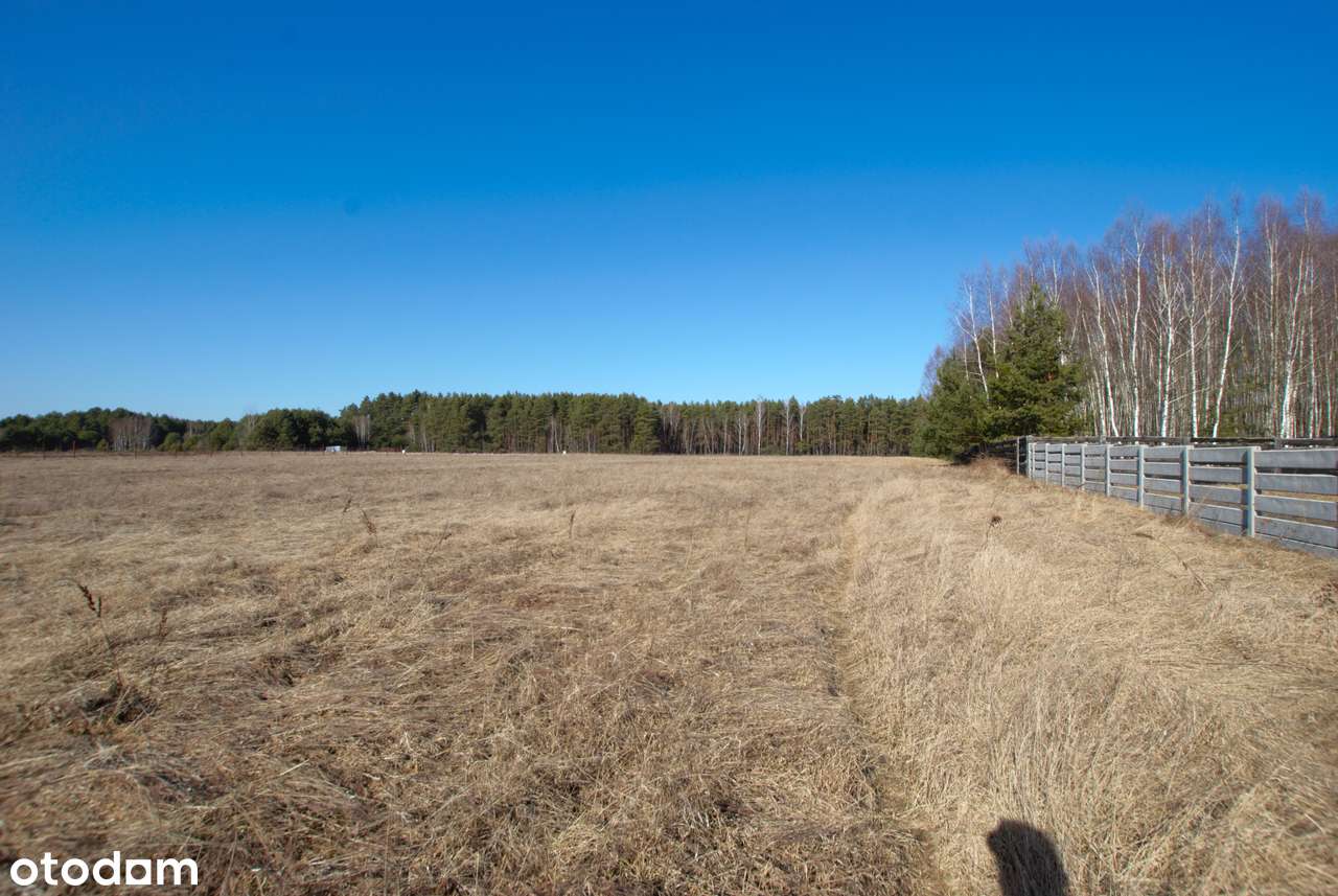 Piękne działki pod samym lasem, Smyków (gm. Raków) - Pełny obrazek: 2/14
