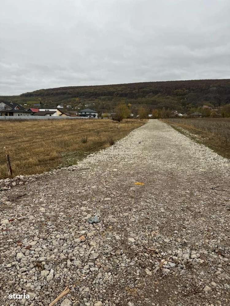 Teren Intravilan ideal constructie cartier vile Hemeius langa scoala - Imagine principală: 2/11