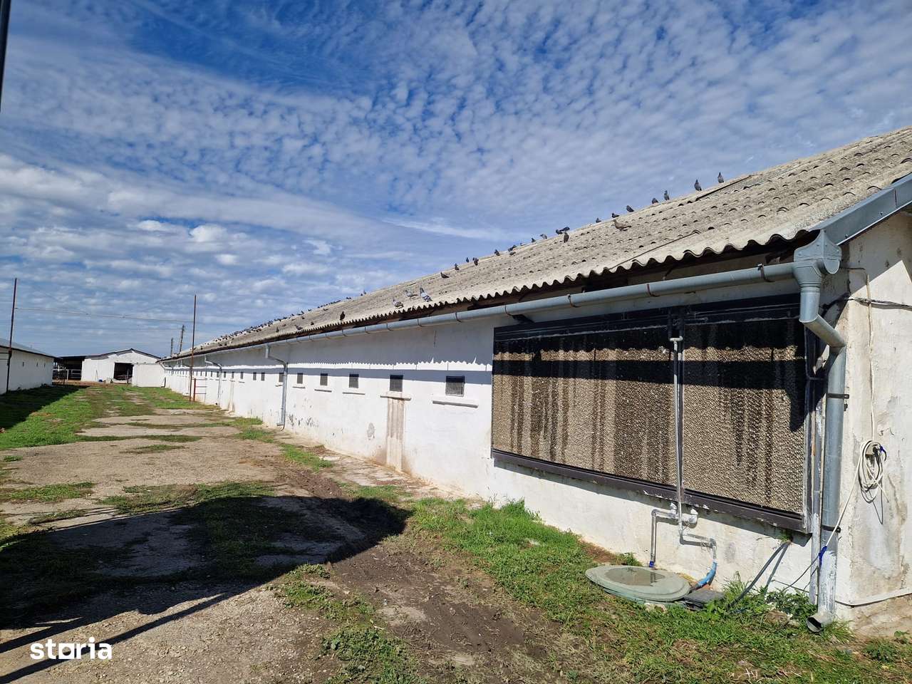 FERMA DE PUI  -- Livada - Imagine principală: 4/10