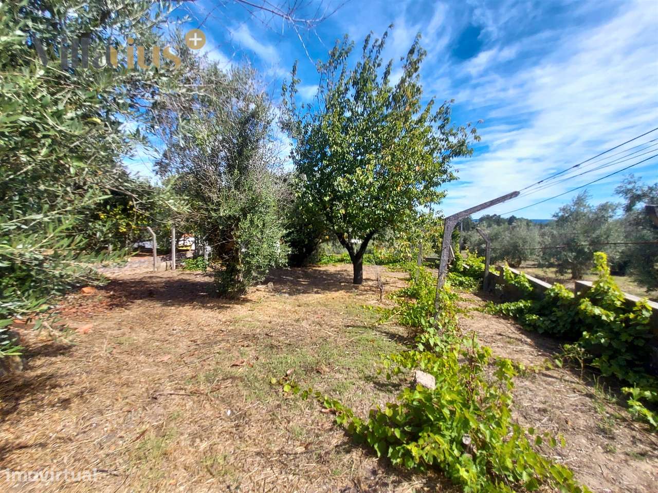 Moradia T3+1 à Venda em Tomar – Espaço e Natureza-45