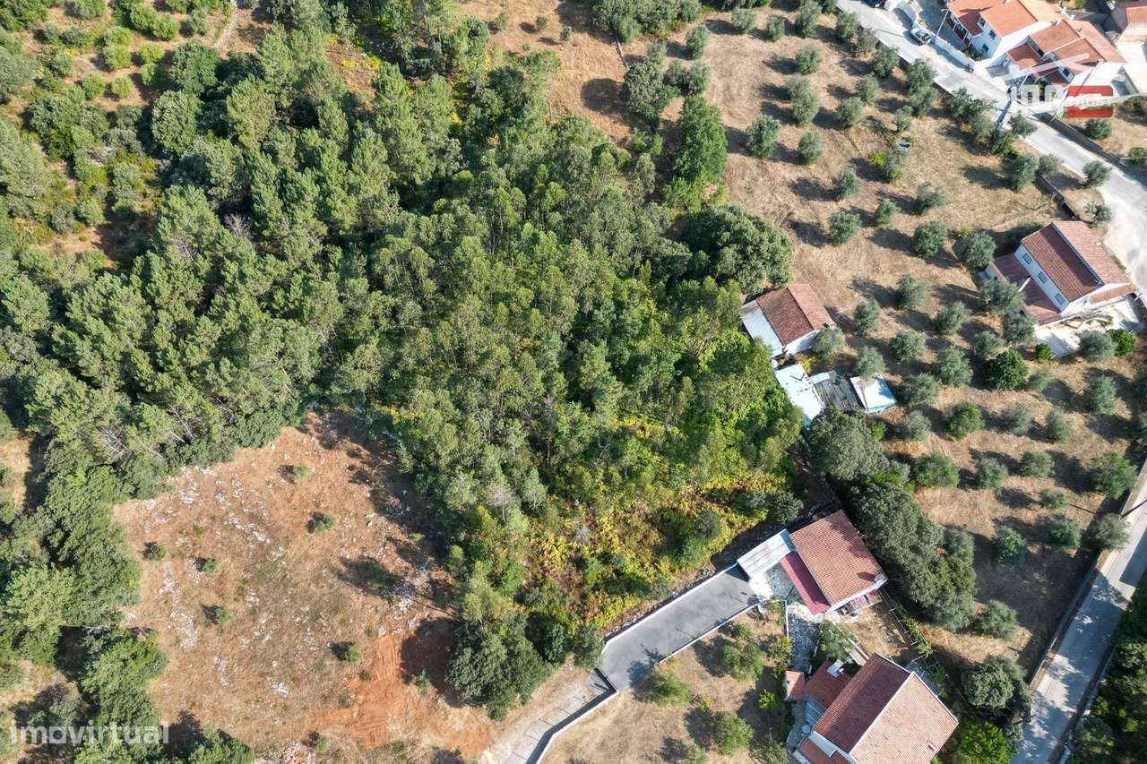 Terreno Rústico em Pederneira, Fátima - Grande imagem: 4/6