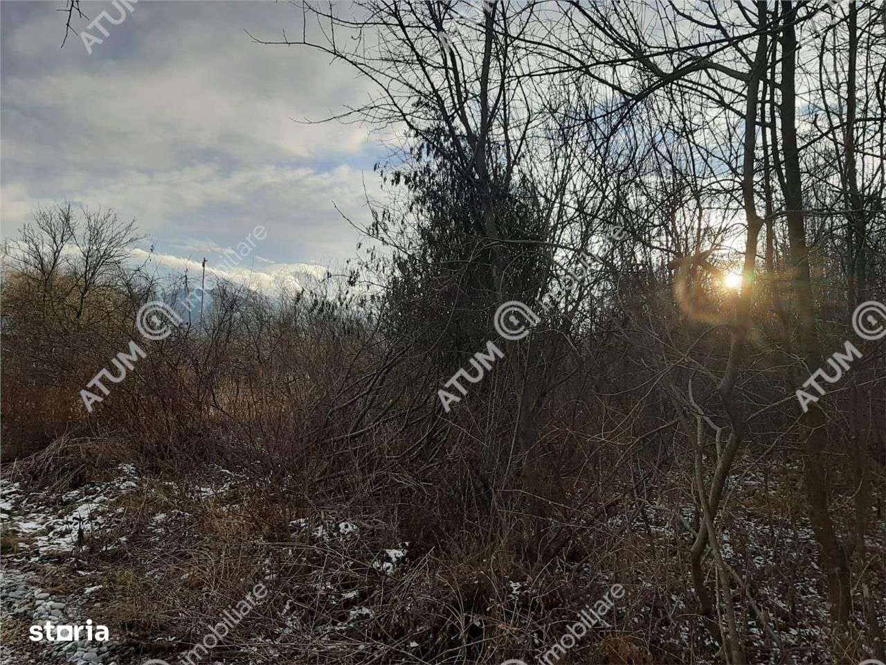 Teren Intravilan 1600 mp in Avrig zona Valea Avrigului - Imagine principală: 3/4