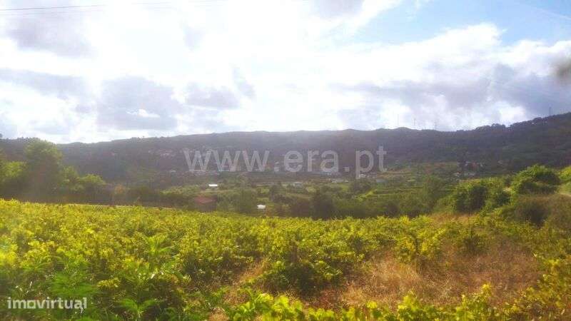 Terreno / Baião, Gove - Grande imagem: 4/5