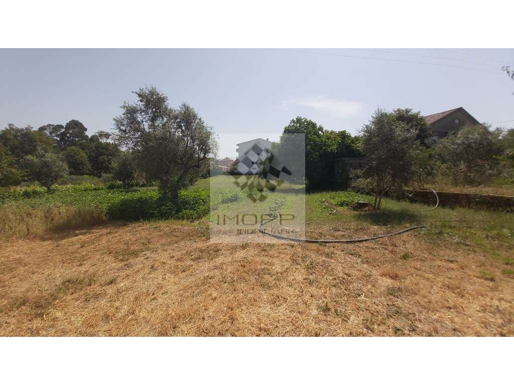 Fabulosa propriedade na zona centro do país com mais de 4.000m2 e m...-35