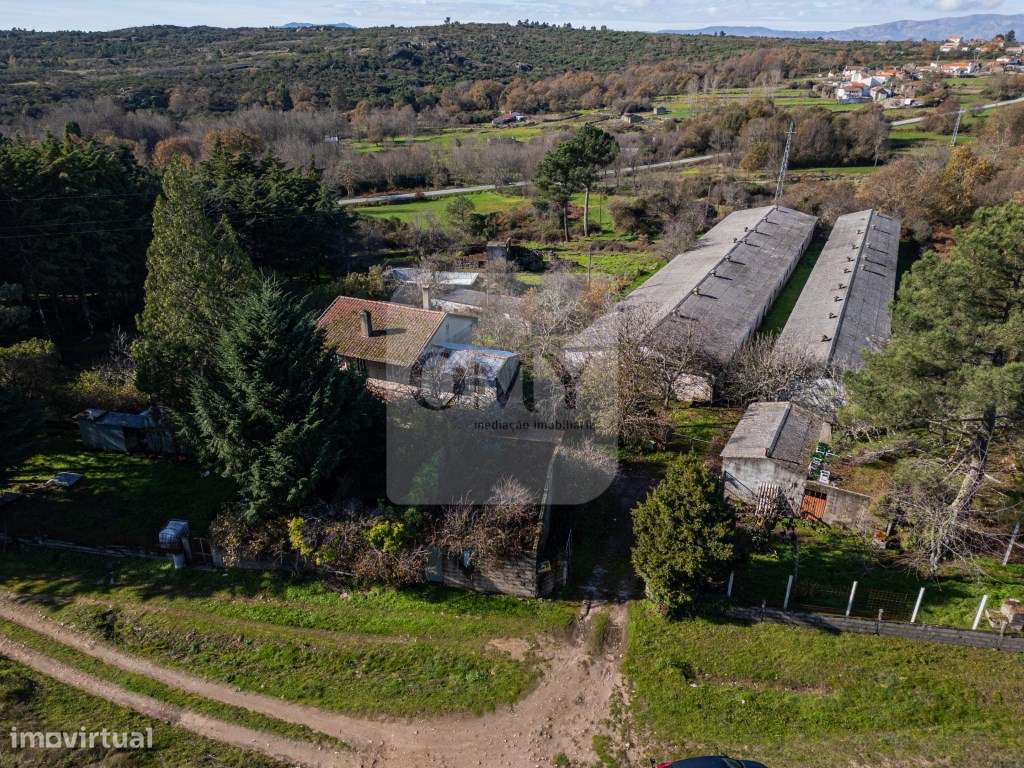 Em Campanha, Quintinha de 12.491m2 com Moradia T3 e Outras Edificações - Grande imagem: 5/17