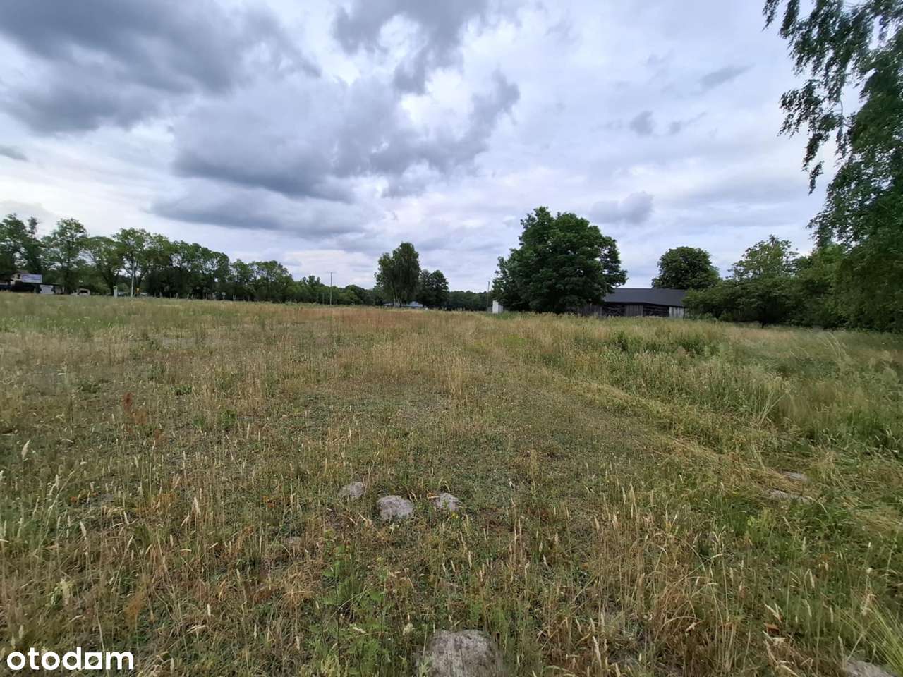 Działka budowlana przy ścianie lasu, Bednary - Pełny obrazek: 4/4