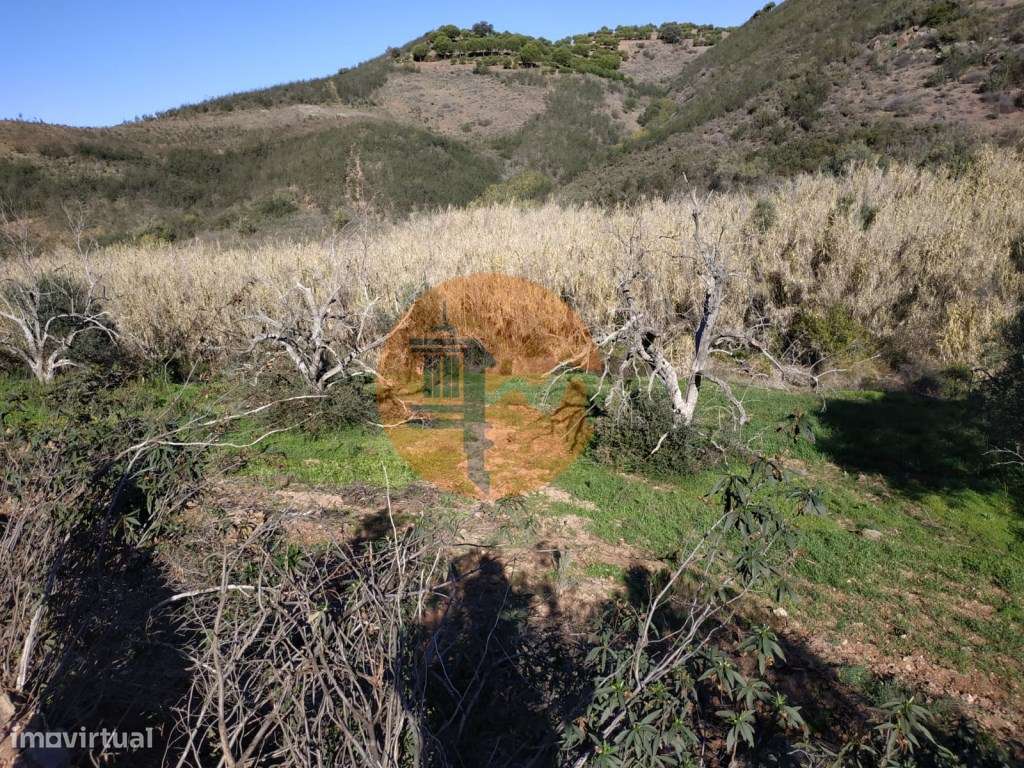 TERRENO RÚSTICO COM 4.760 M2 - BONS ACESSOS - MARROQUIL - AZINHAL -... - Grande imagem: 4/27