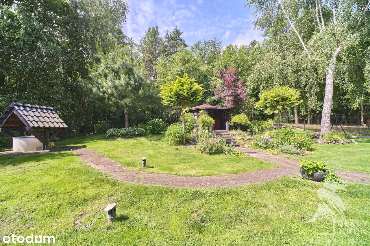 Piękny Dom pod Toruniem z prywatnym lasem – Okazja!-10