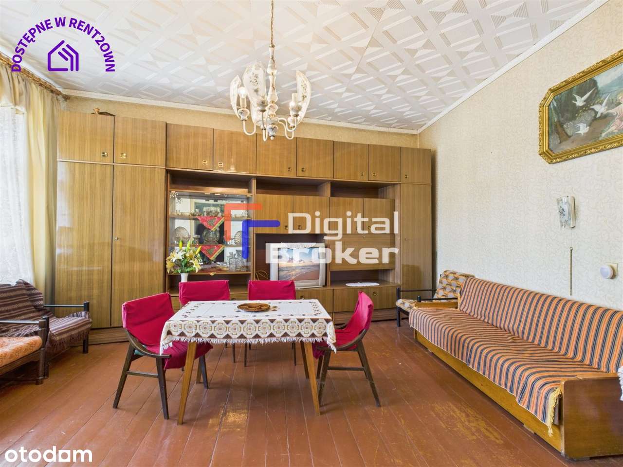 ⭐️Ogródek ⭐ Lokalizacja ⭐️Słoneczne ⭐️Inwestycja - Pełny obrazek: 4/15