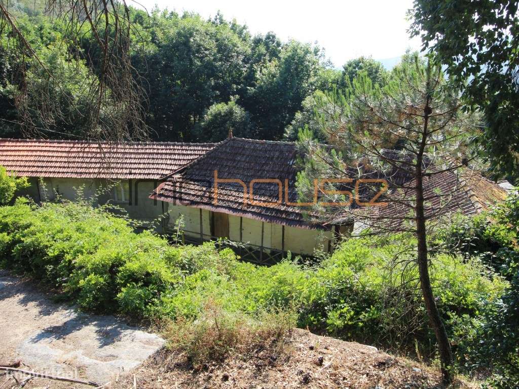 Duas casas antigas para restaurar em Castelo de Paiva-10