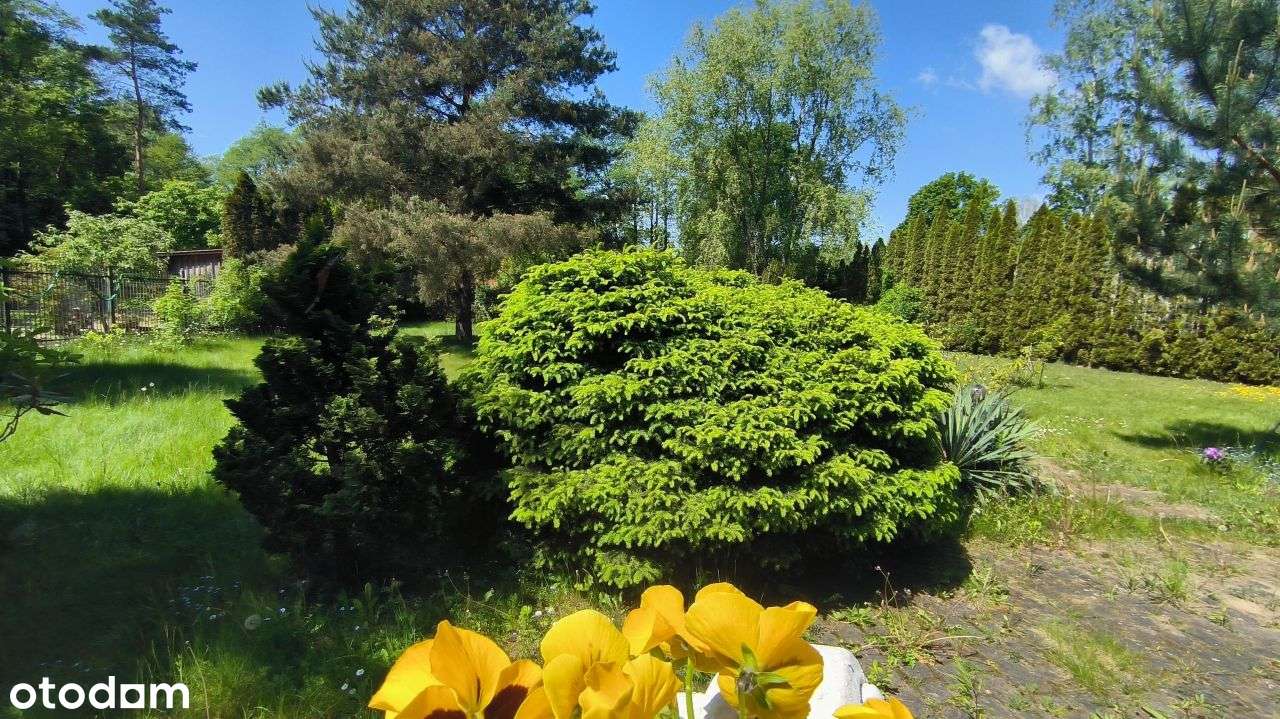 Styl Dworu.Piękny Dom.Zielona Okolica. Blisko Las. - Pełny obrazek: 5/19