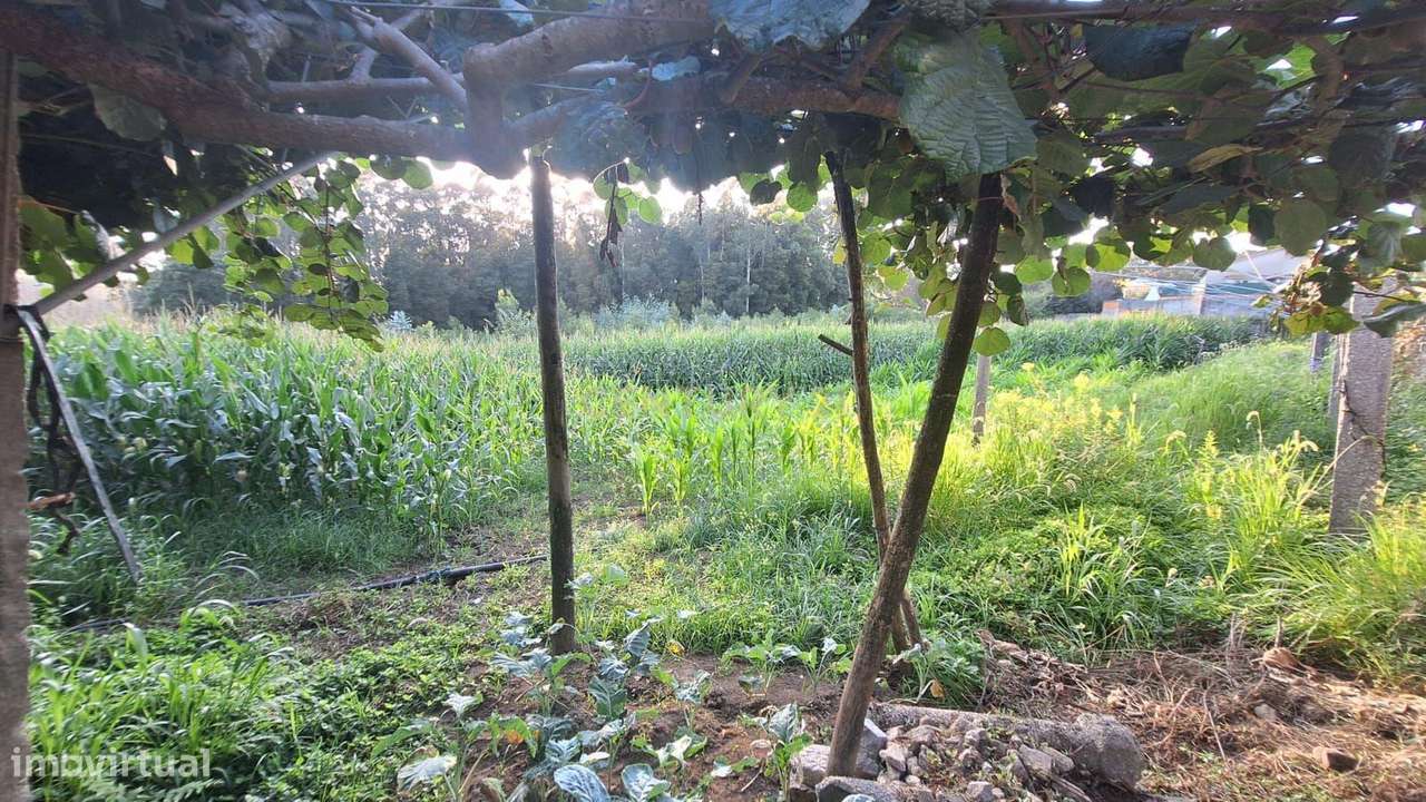 Terreno Urbano em Gião Vila do Conde - Grande imagem: 4/13