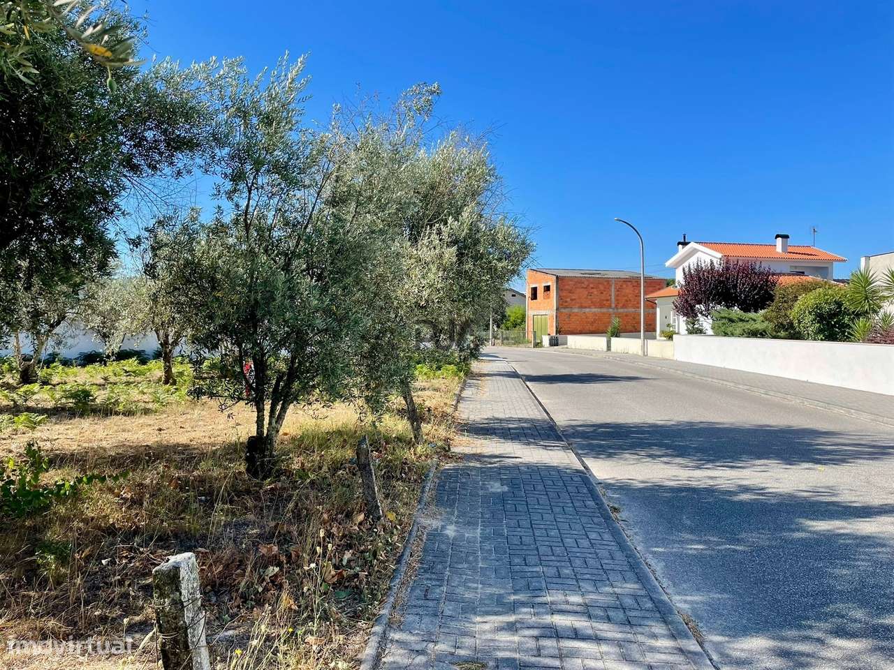 Terreno para construção em Canas de Senhorim - Grande imagem: 4/5