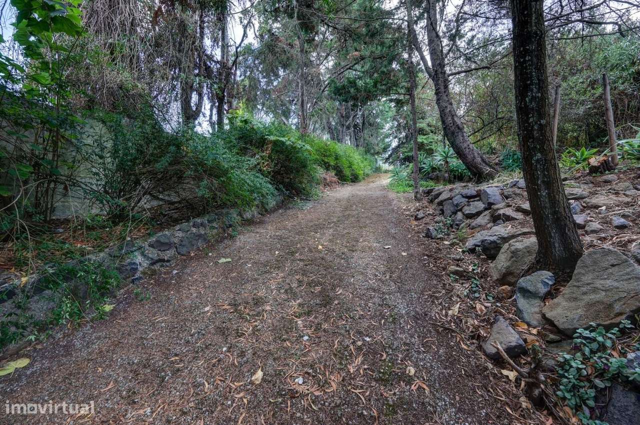 Moradia Isolada com 5000m2 de terreno rodeada de Natureza-30