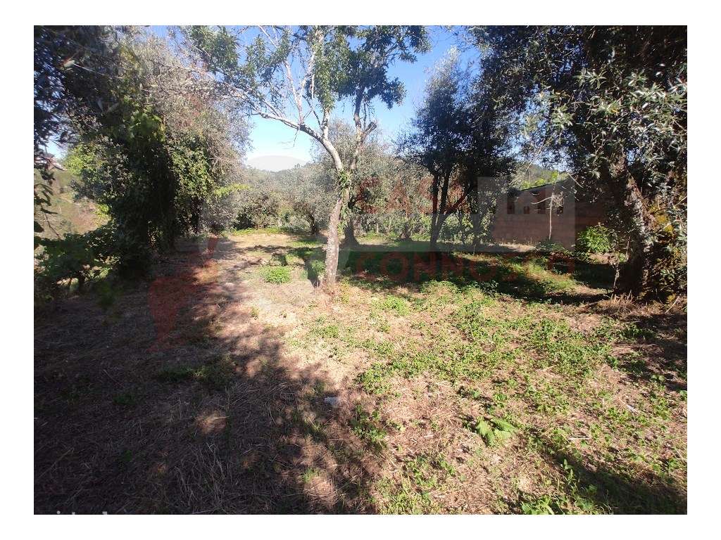 Moradia M4 pronta a habitar com terreno.-28