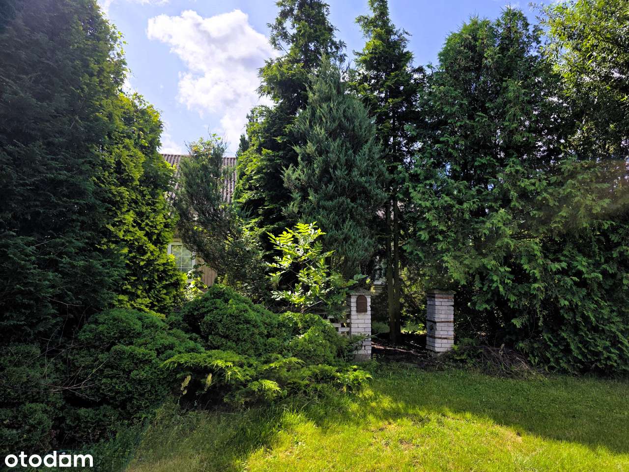 Duża Działka | Dom | Budynki - Pełny obrazek: 4/15