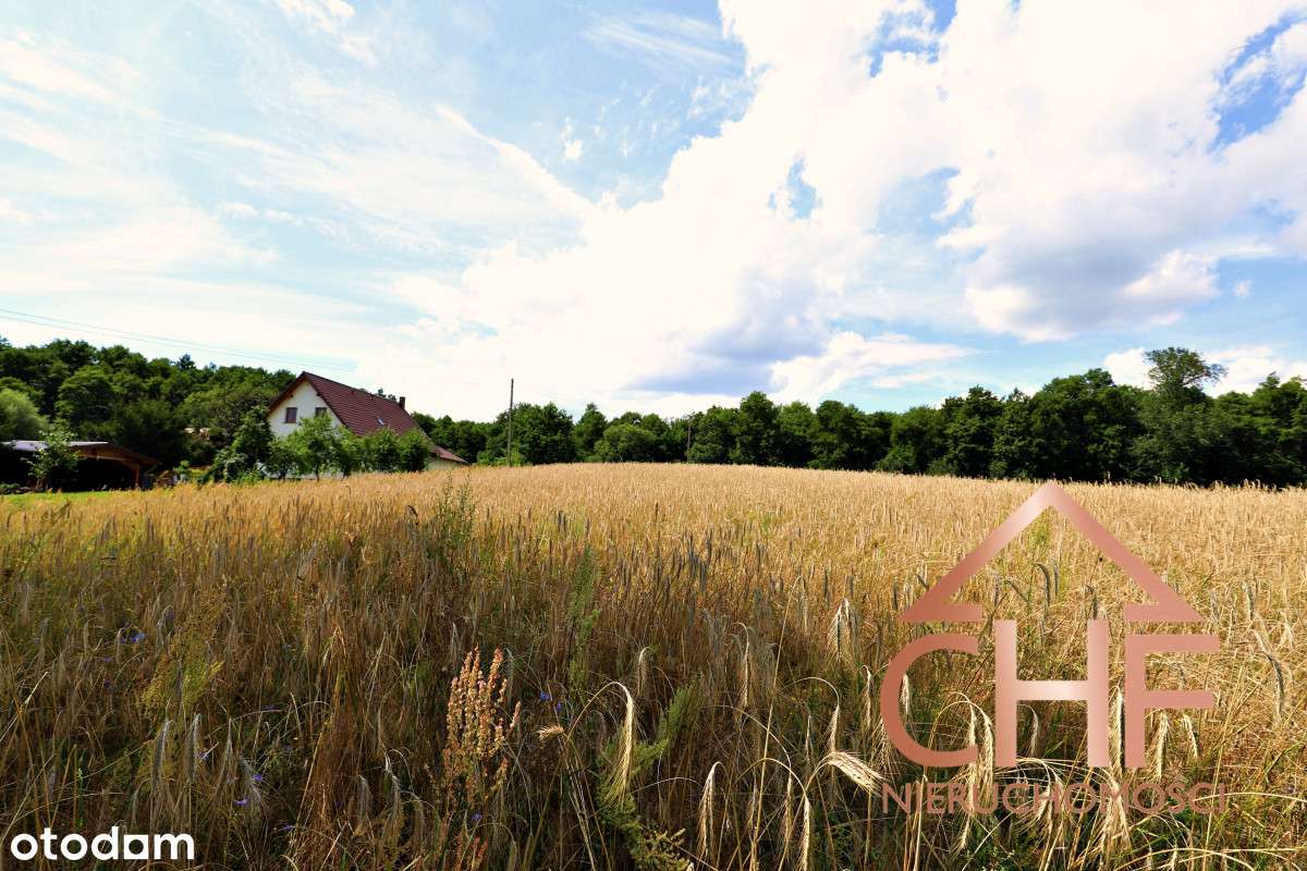 Działka z wydanymi warunkami zabudowy- Smolno Małe - Pełny obrazek: 5/17